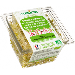 Roquette alfalfa germés 60 g