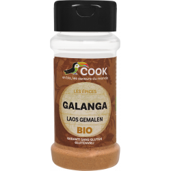 Cook Galanga Poudre 25 G X 3