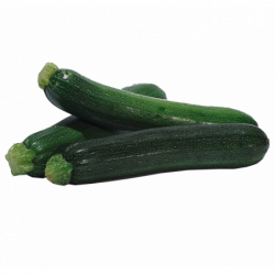 COURGETTE FRANCE...