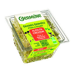 Alfalfa, Cresson germés 60 g