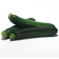 COURGETTE FRANCE 14/21...